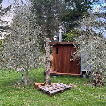 Danseys Pass Lavender Farm Vila Tokarahi Exterior foto
